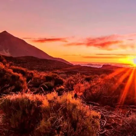 Appartamento Amazing In Americas Playa de las Americas (Tenerife)